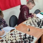 шахматы детская студия