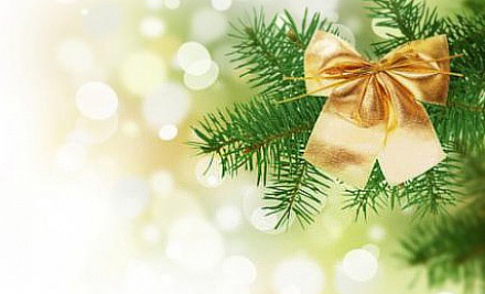 Новогодний тренинг. Только для взрослых.