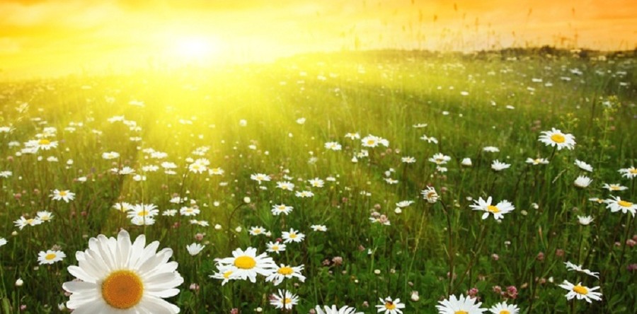 Внимание!!! График работы наших центров летом.