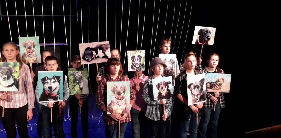 Спектакль “Собачья жизнь”