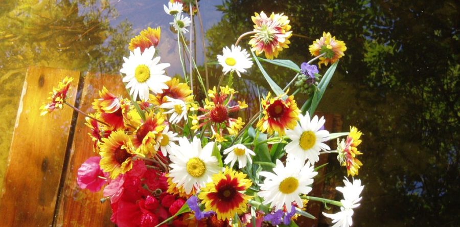 Собираемся в школу…  (советы психолога)