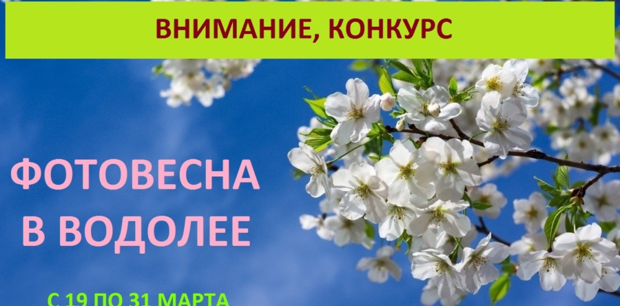 Конкурс в социальных сетях