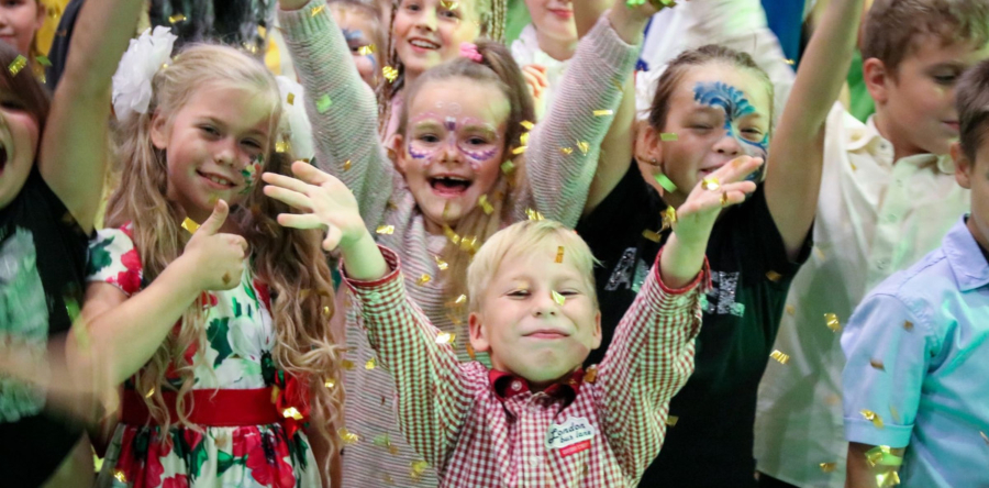 День районных секций