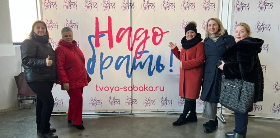 Благотворительная акция фонда защиты животных «Вирта»